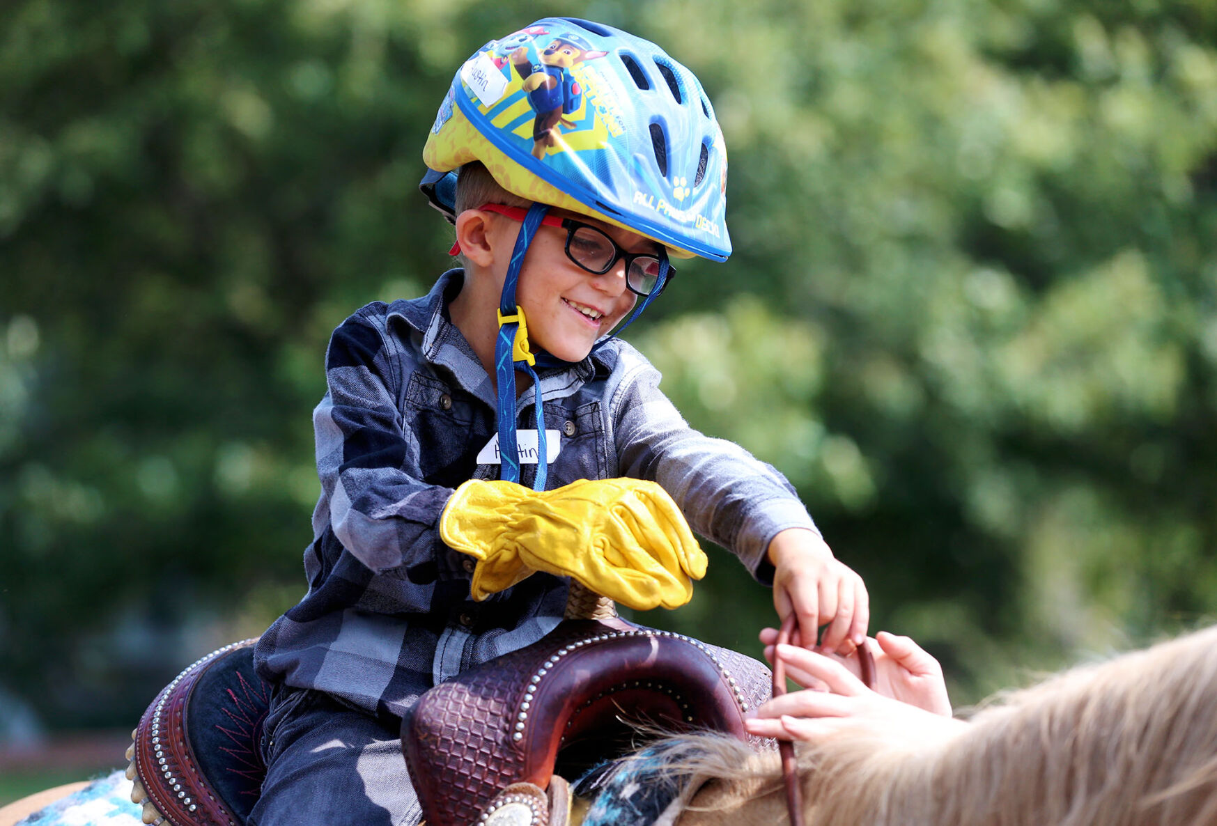 072722-gii-news-equine-science-jrs-p5